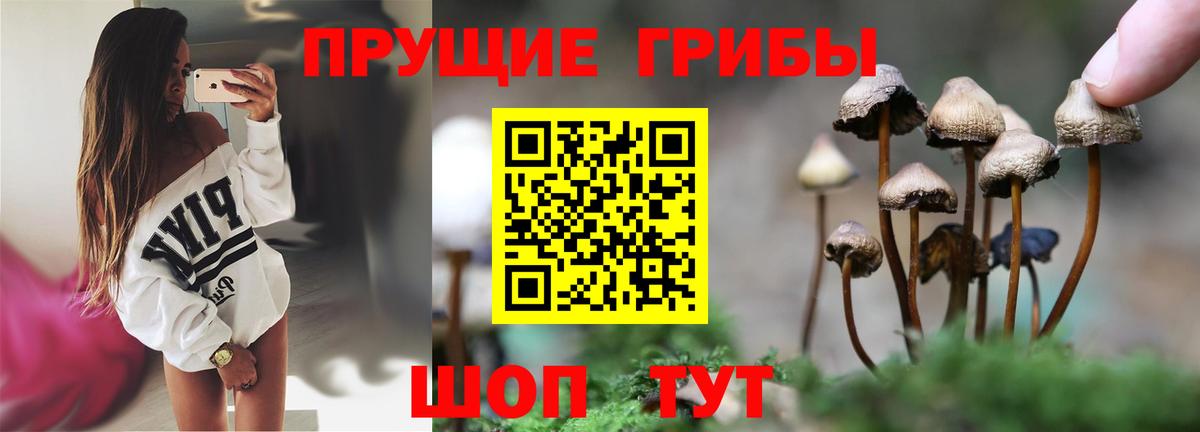 Галлюциногенные грибы Psilocybine cubensis  Вход с VPN  закладка  Галлюциногенные грибы Cubensis  Советский 